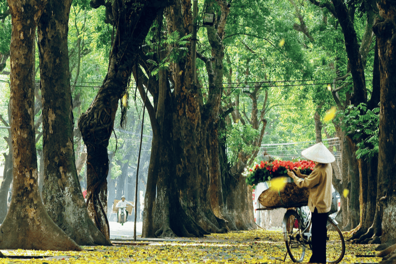 Cẩm nang du lịch tại Hà Nội cho người mới (2)